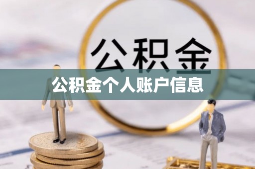 沙鹿公积金个人账户信息