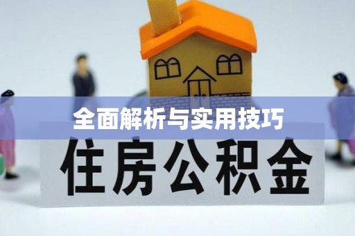 沙鹿全面解析与实用技巧