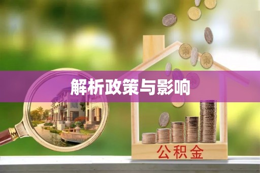 沙鹿解析政策与影响