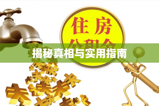 沙鹿揭秘真相与实用指南