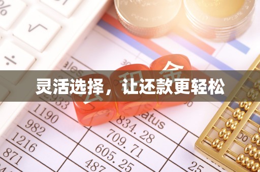 沙鹿灵活选择，让还款更轻松