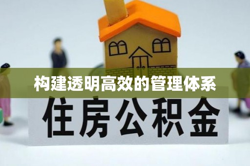 沙鹿构建透明高效的管理体系