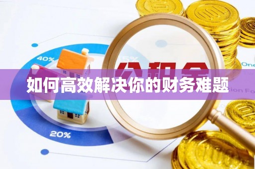 沙鹿如何高效解决你的财务难题
