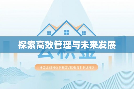 沙鹿探索高效管理与未来发展
