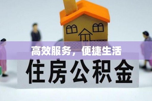 沙鹿高效服务，便捷生活