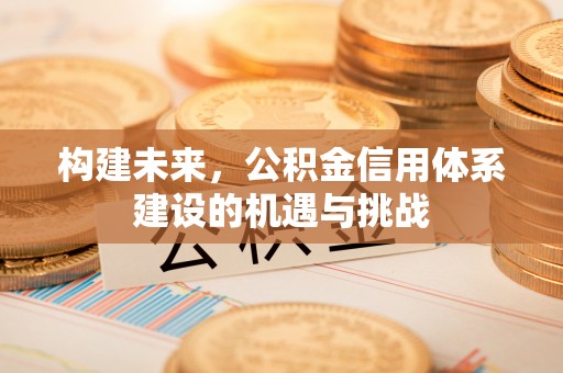 沙鹿构建未来，公积金信用体系建设的机遇与挑战