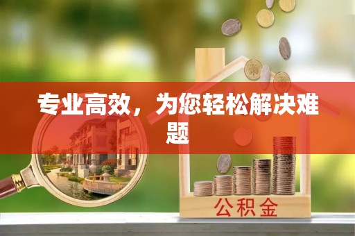 沙鹿专业高效，为您轻松解决难题