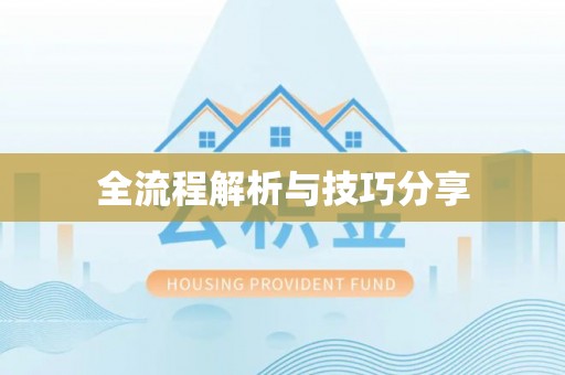 沙鹿全流程解析与技巧分享